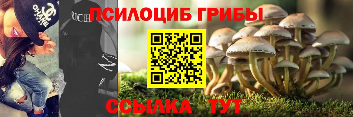 Славгород  хочу   Галлюциногенные грибы ЛСД  Вход с VPN  Псилоцибиновые грибы мухоморы 